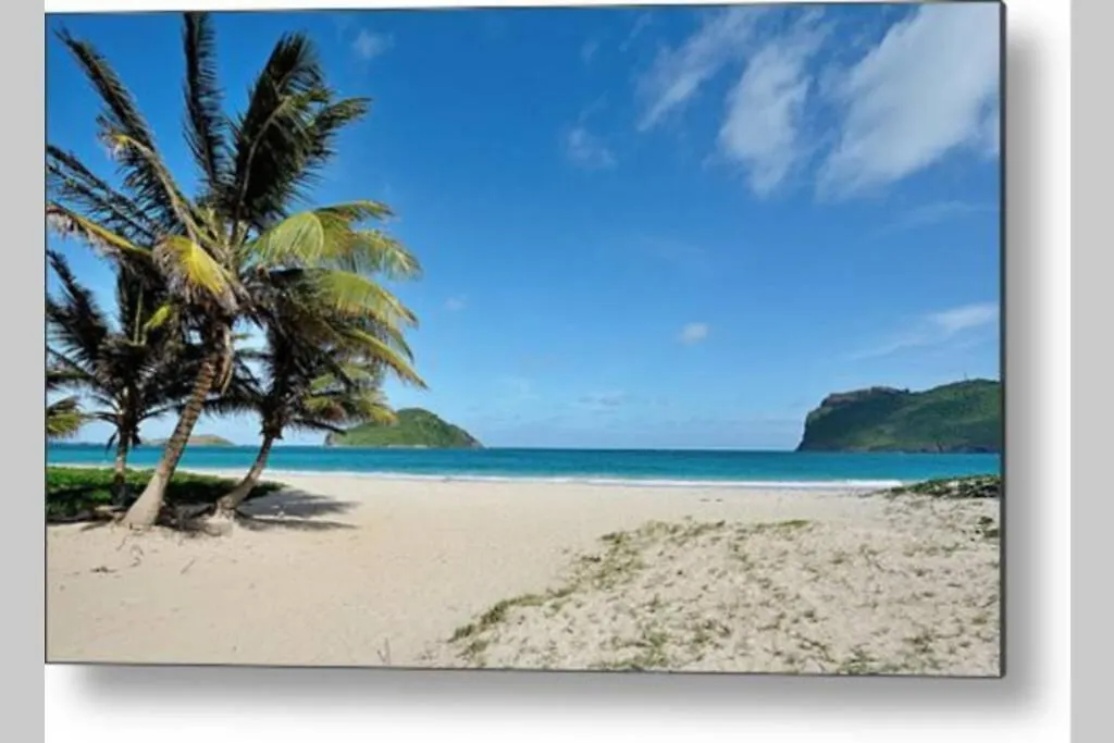 Spacious Apartment In Quiet Neighborhood Nr Airport And Beach Вьё-Фор 0*,